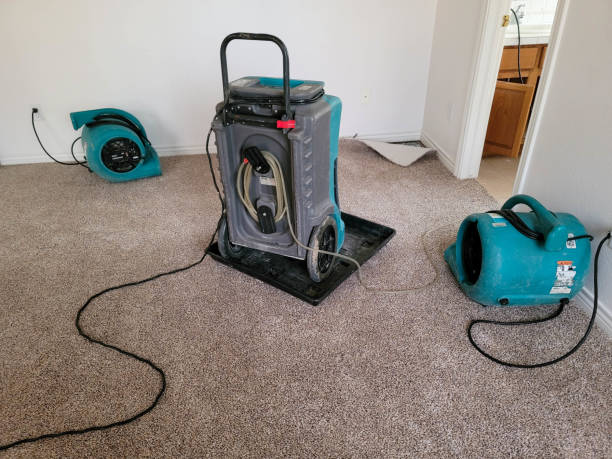 Best Carpet water damage restoration  in Bells, TX