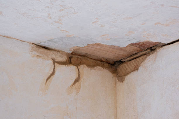  Bells, TX Water damage restoration Pros