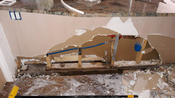 Best Water damage cleanup near me  in Bells, TX
