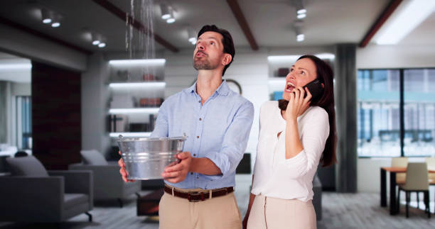 Best Commercial water damage restoration  in Bells, TX